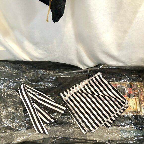 In Character Pirate Lady Costume Plus Size Halloween - Picture 15 of 15